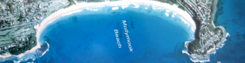 Mollymook Ocean swimmers,Mollymook,Milton,Ulladulla,accommodation,swimmers,beach