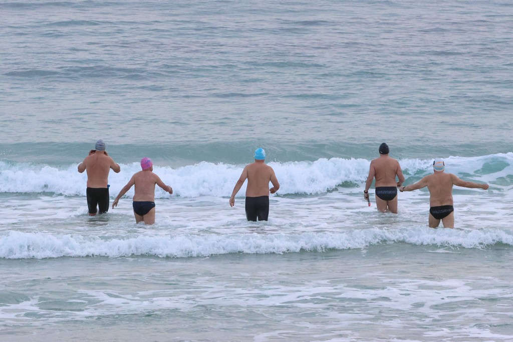 Mollymook ocean swimmers,mollymook beach waterfront,Birds,Outback Queensland,Charleville