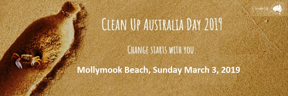 Mollymook ocean swimmers,Take 3 for the sea,Clean Up Australia Day,Mollymook Beach,Mollymook Beach Waterfront
