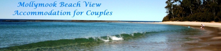 Mollymook,Beach,View,Accommodation,apartment